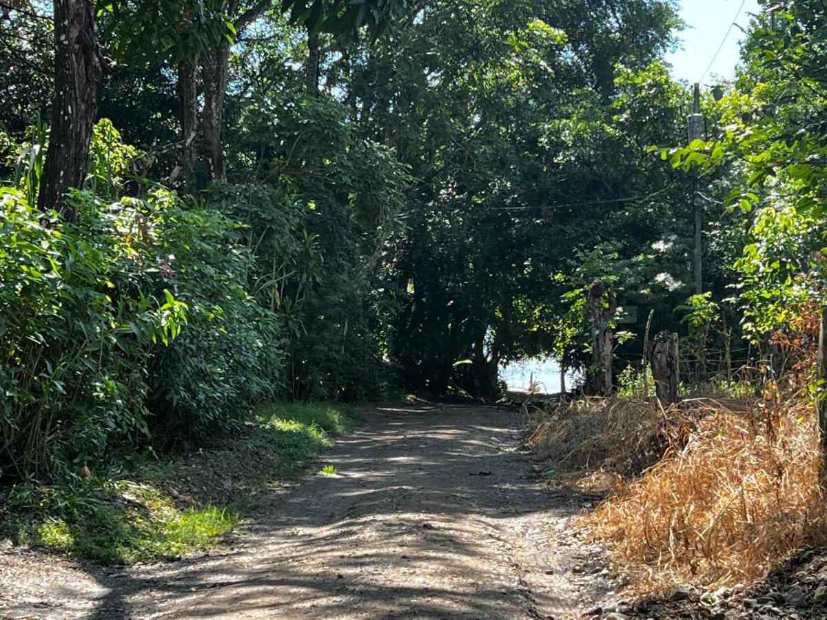 Las Plumas De Cabuya Cabuya  Esterno foto