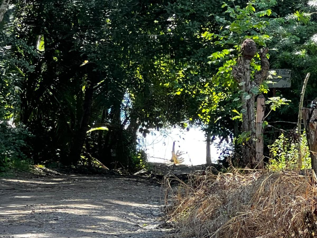 Las Plumas De Cabuya Cabuya  Esterno foto